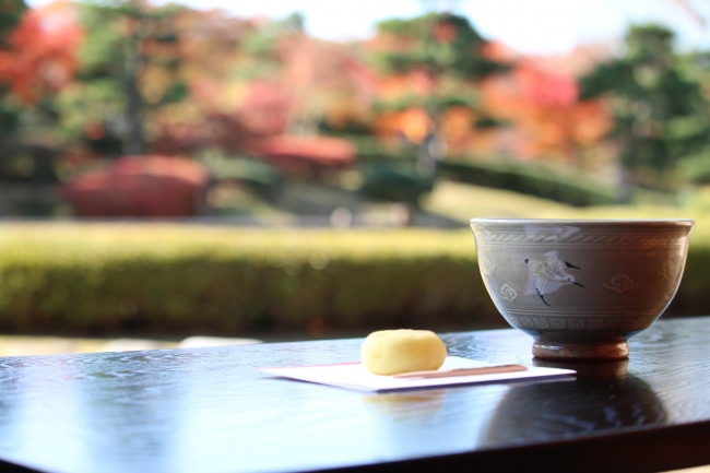 新春は日本庭園で「お茶たて」と「尺八・箏の調べ」を体験！2020年1月5日（日）・11日（土）開催（滋賀県営都市公園びわこ文化公園）