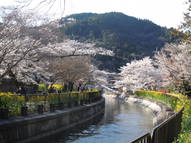 「京都よろづ観光帖」（旅チャンネル）