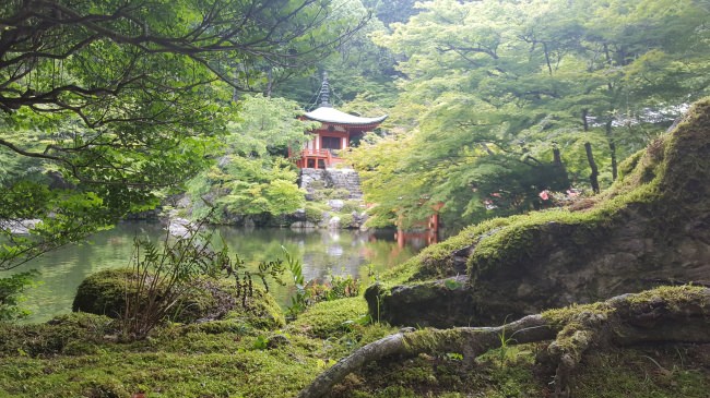 「京都よろづ観光帖」（旅チャンネル）