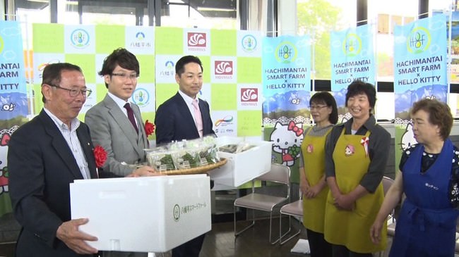 　First shipment ceremony of basil grown in smart farm