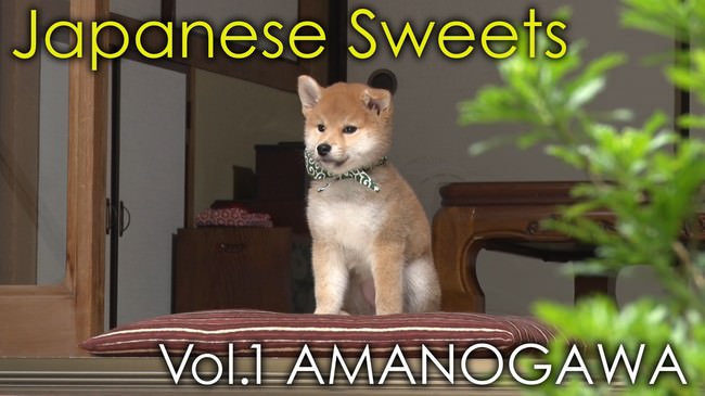 豆助のニッポンっていいな。Mamesuke -Shiba Inu & Japanese Sweets-
