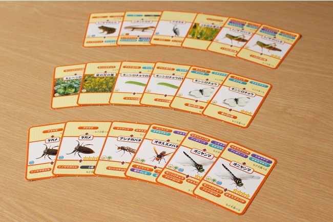 昆虫カード