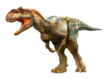 ■アロサウルス（全長6.4ｍ）