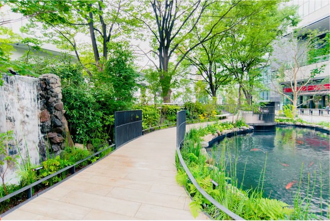 「TOKYO TORCH Park／錦鯉が泳ぐ池」 地域協業の場として誕生した 新潟県小千谷市の錦鯉が泳ぐ池