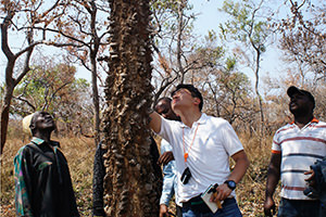 「タンザニア森林保全プロジェクト」の現地での生態調査の様子