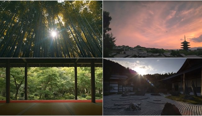京都 美しい8K映像