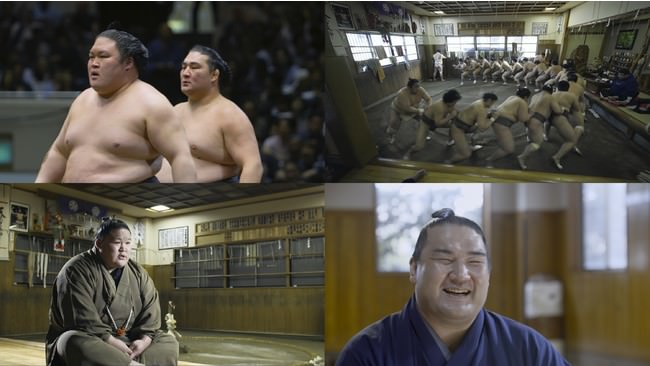 © 2020「相撲道～サムライを継ぐ者たち～」製作委員会