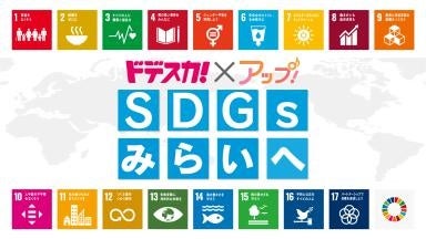 メ～テレSDGsキャンペーン　「ドデスカ！」「アップ！」で2月21日(月)から1週間にわたり特集「SDGs みらいへ」を放送