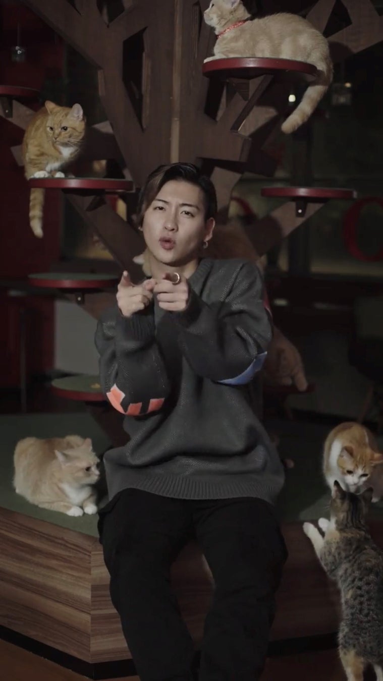 トップ YouTuber たちも TikTok で踊っている “犬と猫と” とは？日本語なのにアメリカで再生され続けている曲が盛り上がりを見せる。
