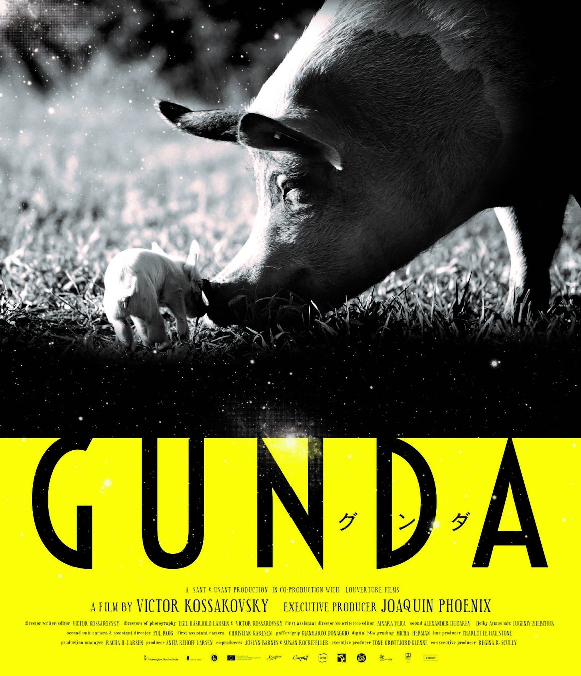 『GUNDA／グンダ』Blu-ray7/6発売＆4/1デジタル先行配信が決定！世界の名だたる映画作家が大絶賛の傑作ドキュメンタリー！