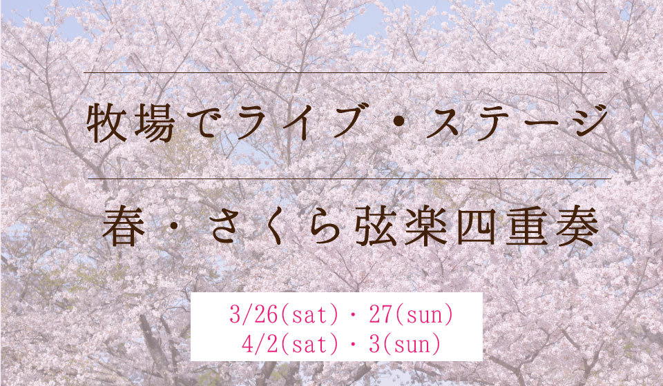 牧場で、本格的な弦楽ライブ・ステージ？！
千葉県の「成田ゆめ牧場」にて3月26日・27日、4月2日・3日に
プロのミュージシャンによる「春・さくら弦楽四重奏」が初開催