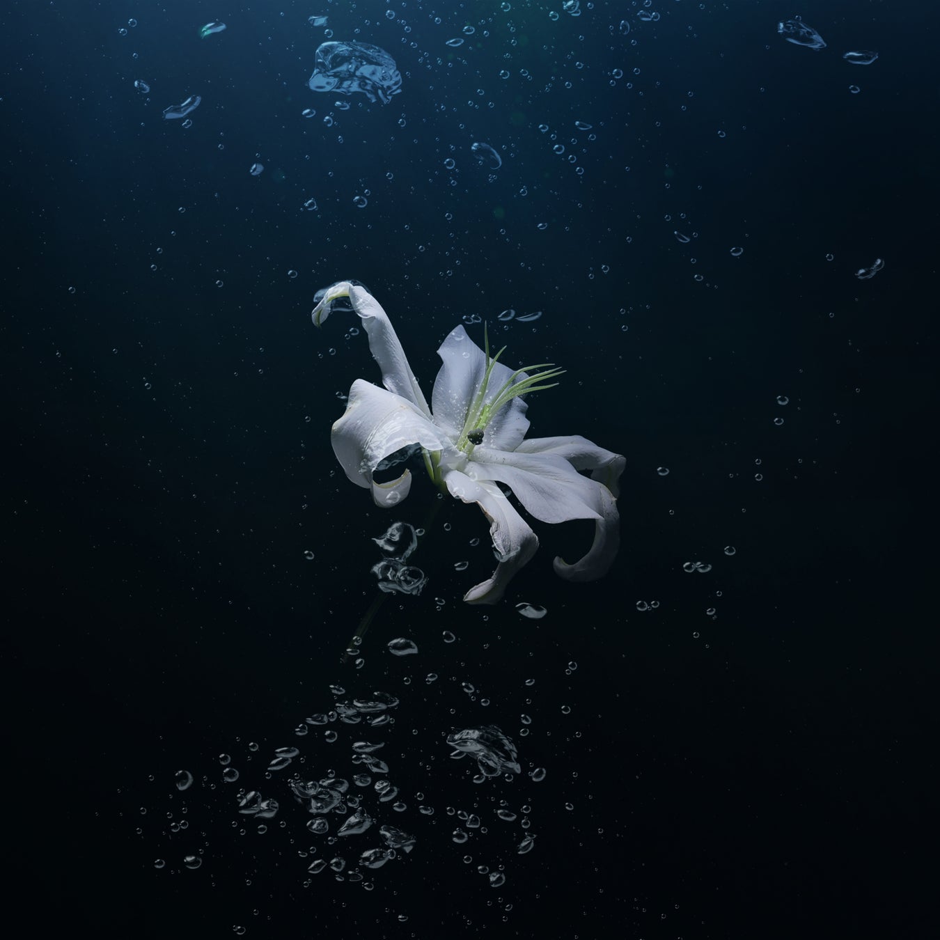 RCCテレビ  大学受験並走ドラマ『フューチャー！フューチャー！』7月19日(火)放送開始！