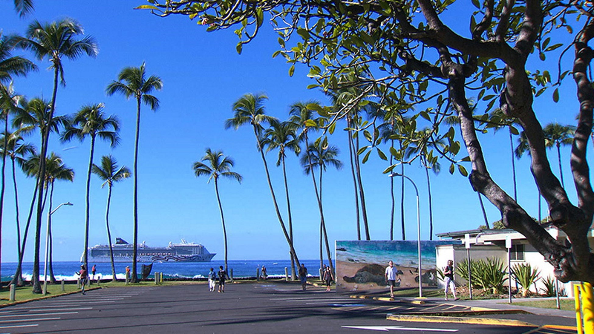ハワイ島・ラナイ島・秘境の島カウアイ「トラベルサラダ See the World」ハワイを巡る旅を放送（旅チャンネル）