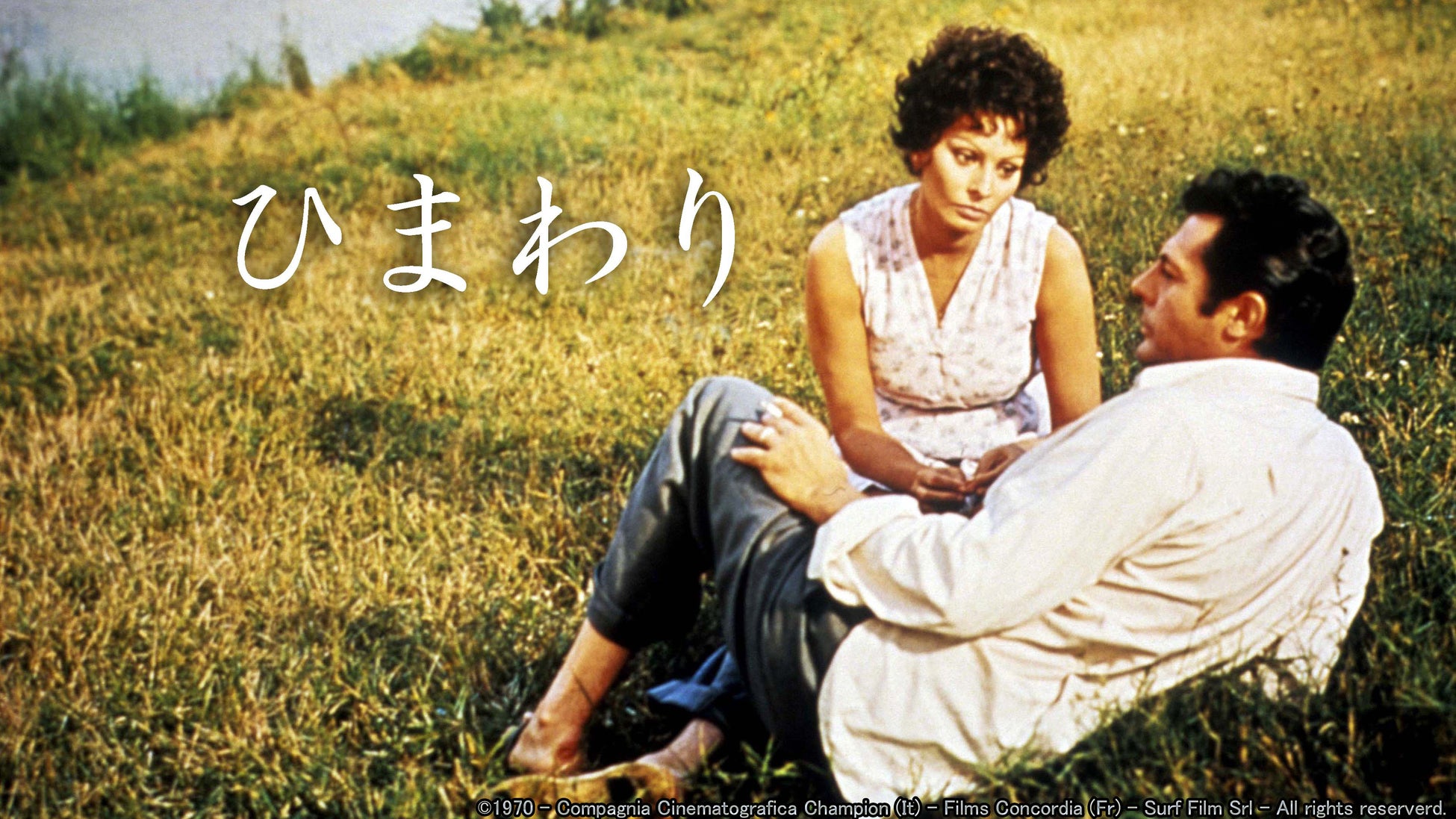 映画『ひまわり』テレビ大阪で８月６日土曜よる６時５８分放送！日本人に愛された不朽の名作を今回新たに制作された日本語吹替版でお送りします。