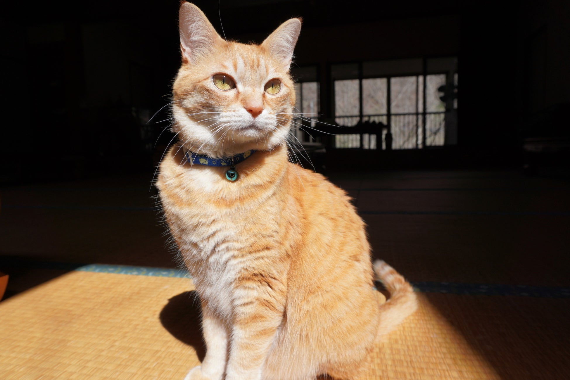 OCTPATHのパフォーマンス&ドキュメンタリー番組『PLAY-OCTPATH』第2弾/未公開映像含む90分完全版を、WOWOWプラスにて10月テレビ初独占放送決定!