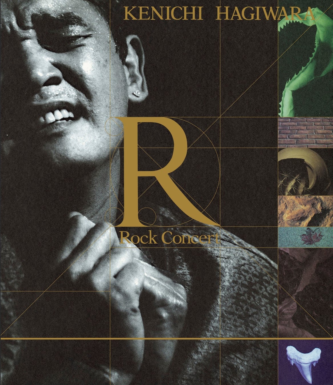 TOOBOE、TVアニメ『チェンソーマン』エンディング・テーマを含む、1st EP「錠剤」リリース決定!TOOBOE書下ろしによる通常盤ジャケットデザインも公開!