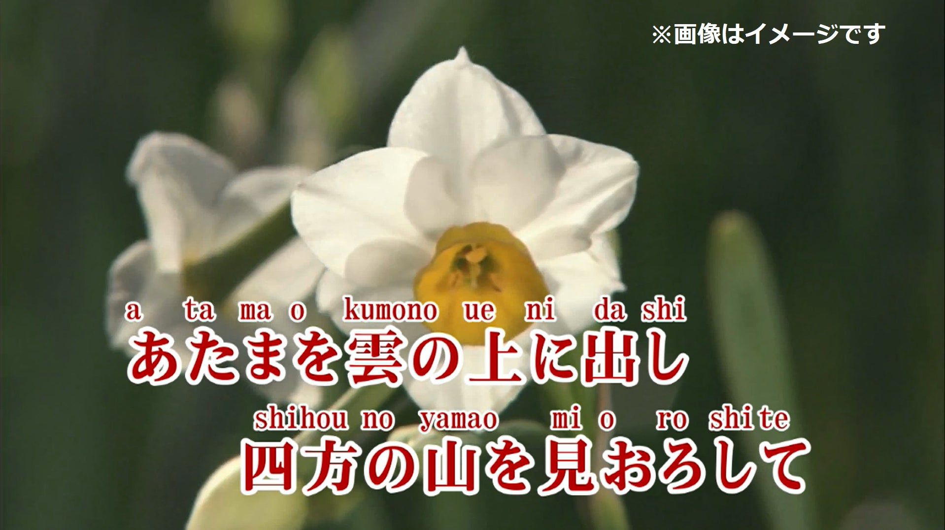 演奏を“真空パック”のように保存し、楽器の生音と映像でリアルに再現　ヤマハ、浜松市楽器博物館との共同展示　「Real Sound Viewing 馬頭琴演奏再現」を実施
