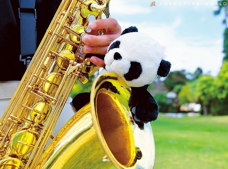 HAPPY PANDA FES ２０２２ アドベンチャーワールド　オリジナルソングアーティストが集結！「ハッピーパンダ ミュージックフェス」を開催！２０２２年１１月２６日（土）