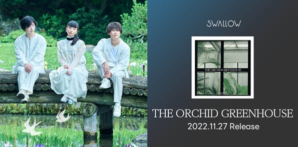 SWALLOW、高校生から大人になるまでを描いた新曲「THE ORCHID GREENHOUSE」をリリース！コメント「SWALLOWのこれまでの曲の全てに繋がる一曲になりました」