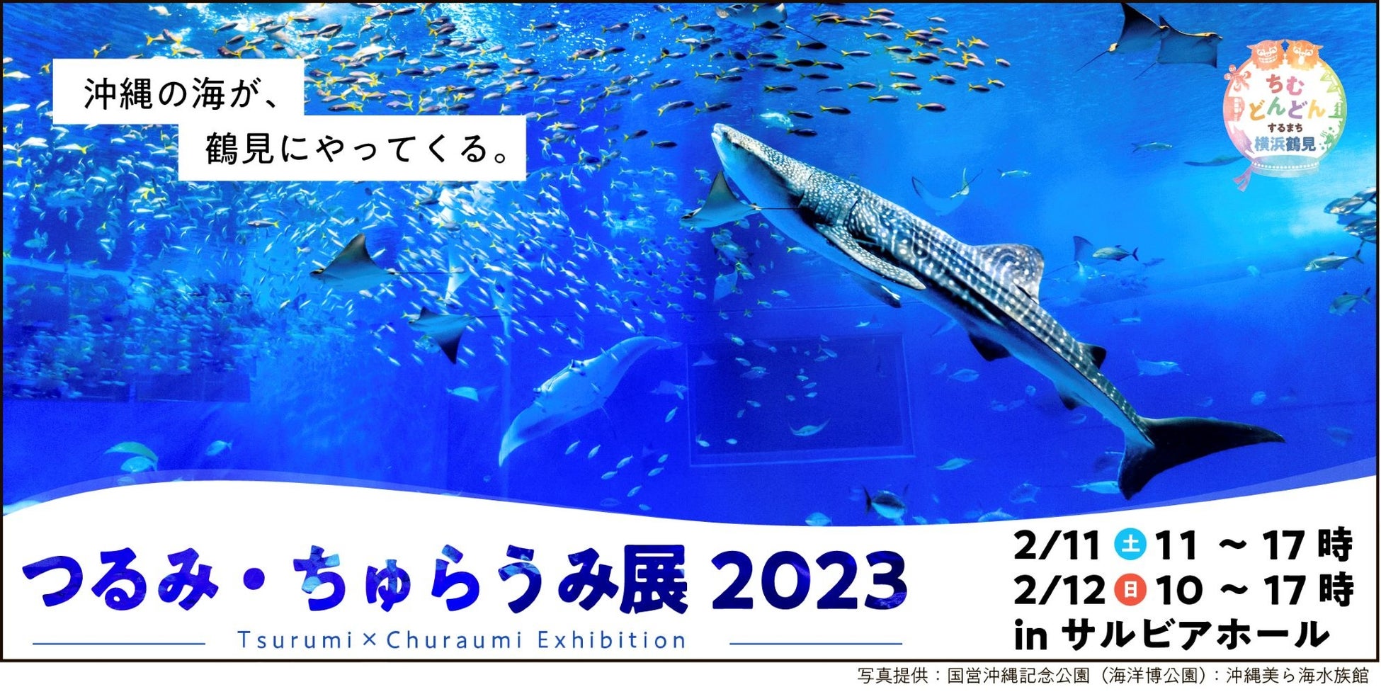 横浜と沖縄がコラボし、海洋環境保護をPR！「つるみ・ちゅらうみ展2023」を開催