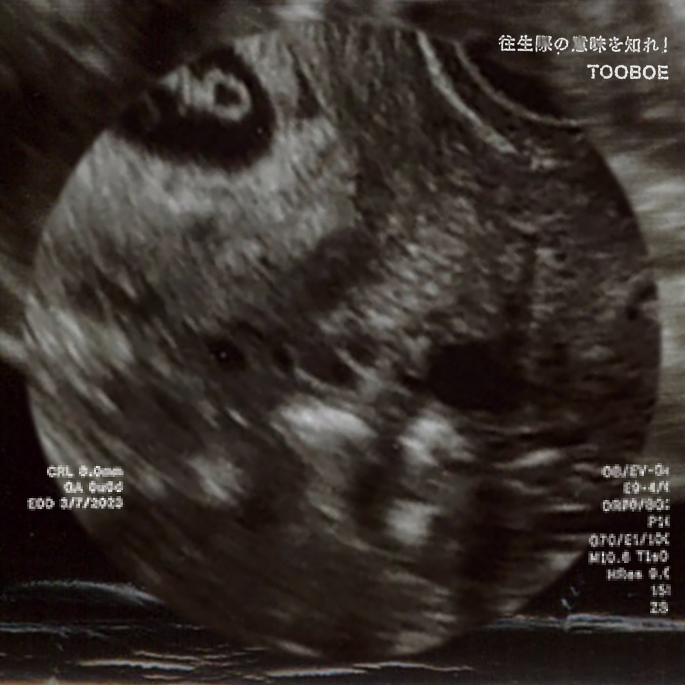 速水奨、井上和彦、代永翼、白井悠介、歌衣メイカ、天開司ら出演のマーダーミステリー即興劇「ザ・マフィア ~ボスの死と継承~」チケット販売開始!