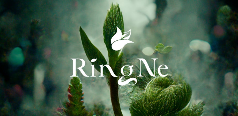 植物と音楽の新たな祝祭「RingNe Festival」南足柄市「夕陽の滝」で開催決定
