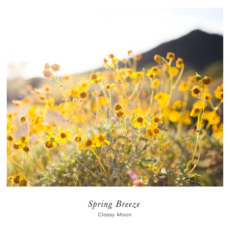 大反響CM企画　「ドデスカ！にメ～ロメロ！」第2弾 ５月８日（月）放送スタート！