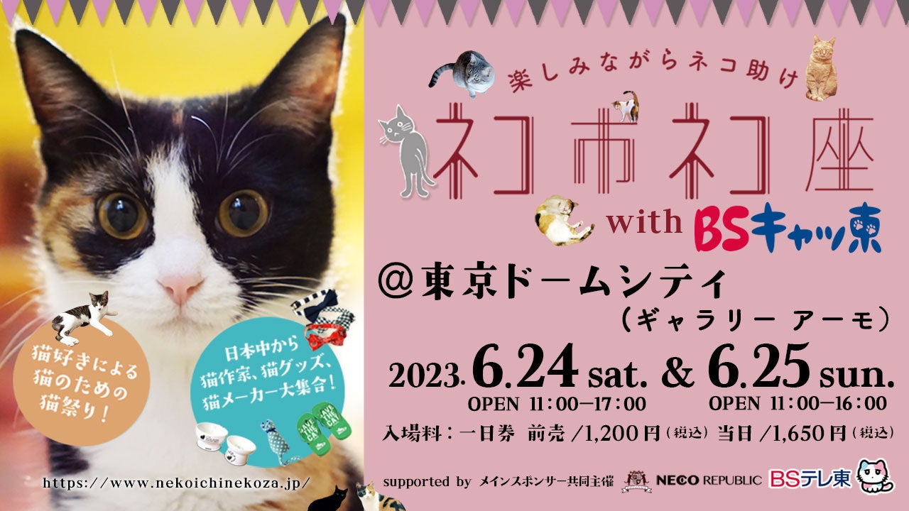 猿田彦珈琲✖️映画「アイスクリームフィーバー」渋谷パルコで１日限りのPOP-UP SHOP開催！