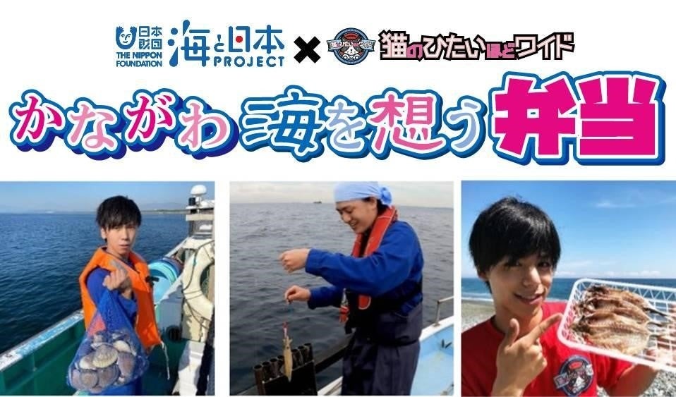 日本財団 海と日本プロジェクトとテレビ神奈川の人気番組「猫のひたいほどワイド」がコラボレーション！「かながわ海を想う弁当」の開発が決定！