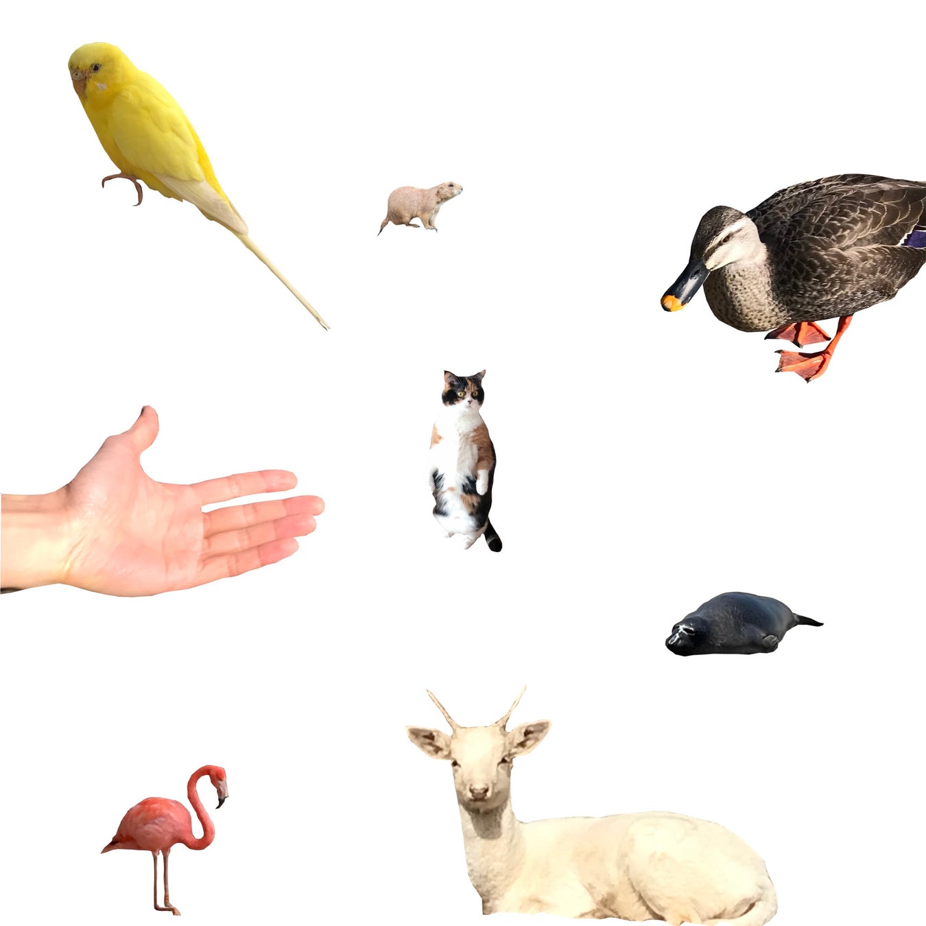 【フジテレビ】中国の大人気イケメン俳優シュー・カイが魅せる 中国民国時代を舞台とした壮大なラブロマンス&アクション・アドベンチャー! ドラマ『天官の継承者 ディン・ユンチー ~ 秘宝と愛の物語』