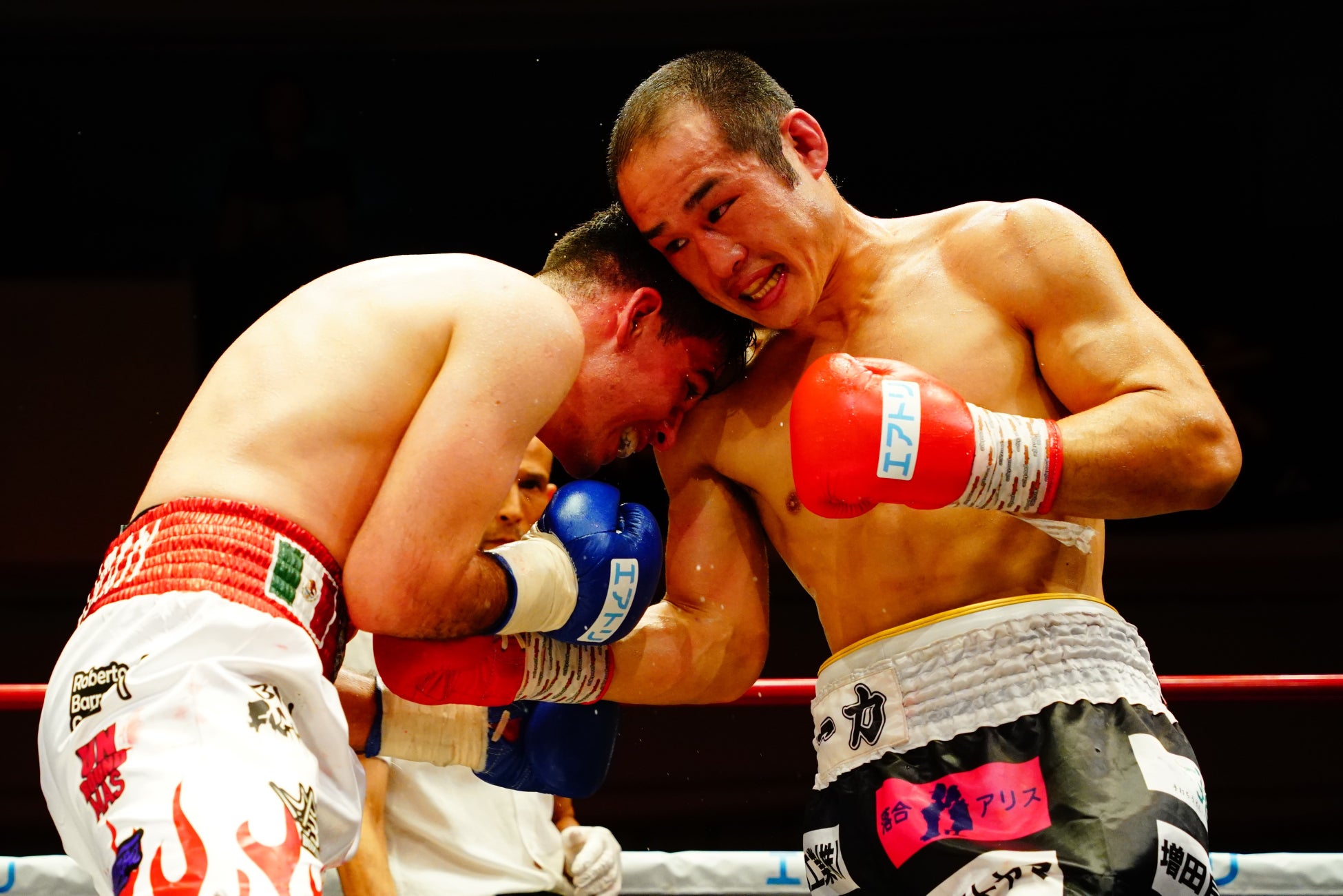 パックごはん「低温製法米のおいしいごはん®」新TVCM7月22日より放送開始