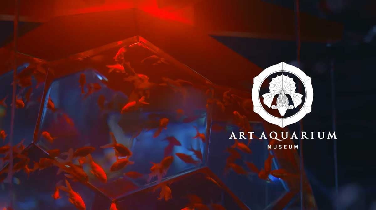 HTBグッズショップが静岡・遠鉄百貨店に初登場!「遠州鉄道80周年×遠鉄百貨店35周年×HTB55周年記念HTB GOODS SHOP」10月12日(木)~17日(火)