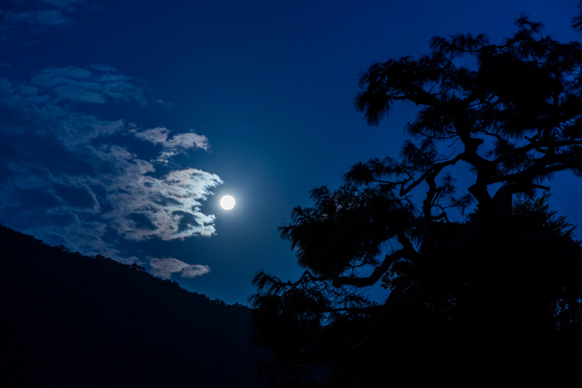 ジュエルステージ「オンエア！」Unit Stories M×R×E最速上映会が9月29日(金)より開催決定！