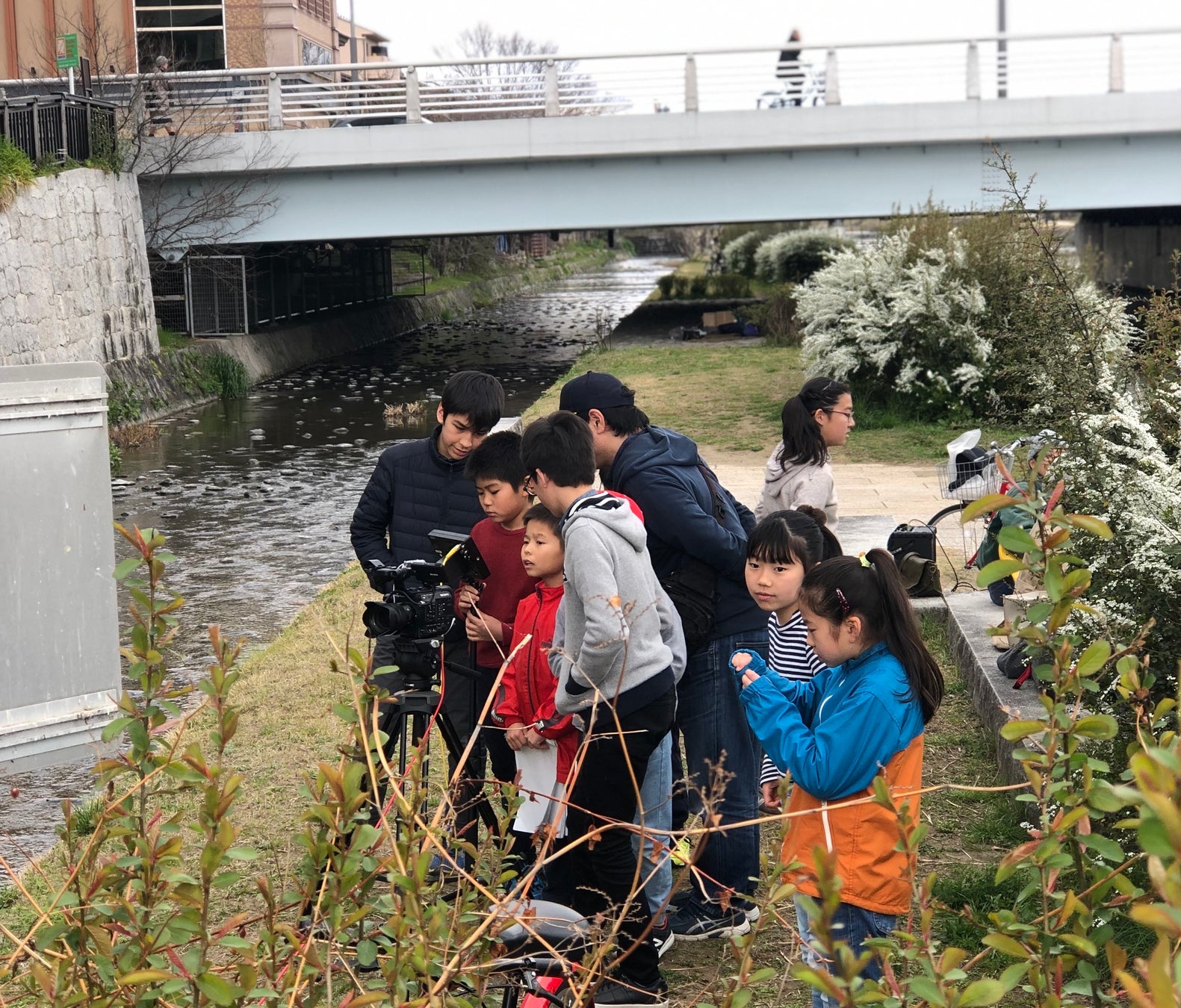 石川由依さん×木村良平さんによるPV動画を新たに公開！『占い師には花騎士の恋心が見えています』心を読める不思議な少女と女嫌いのワケあり騎士、ちぐはぐな二人が織りなすラブストーリー！