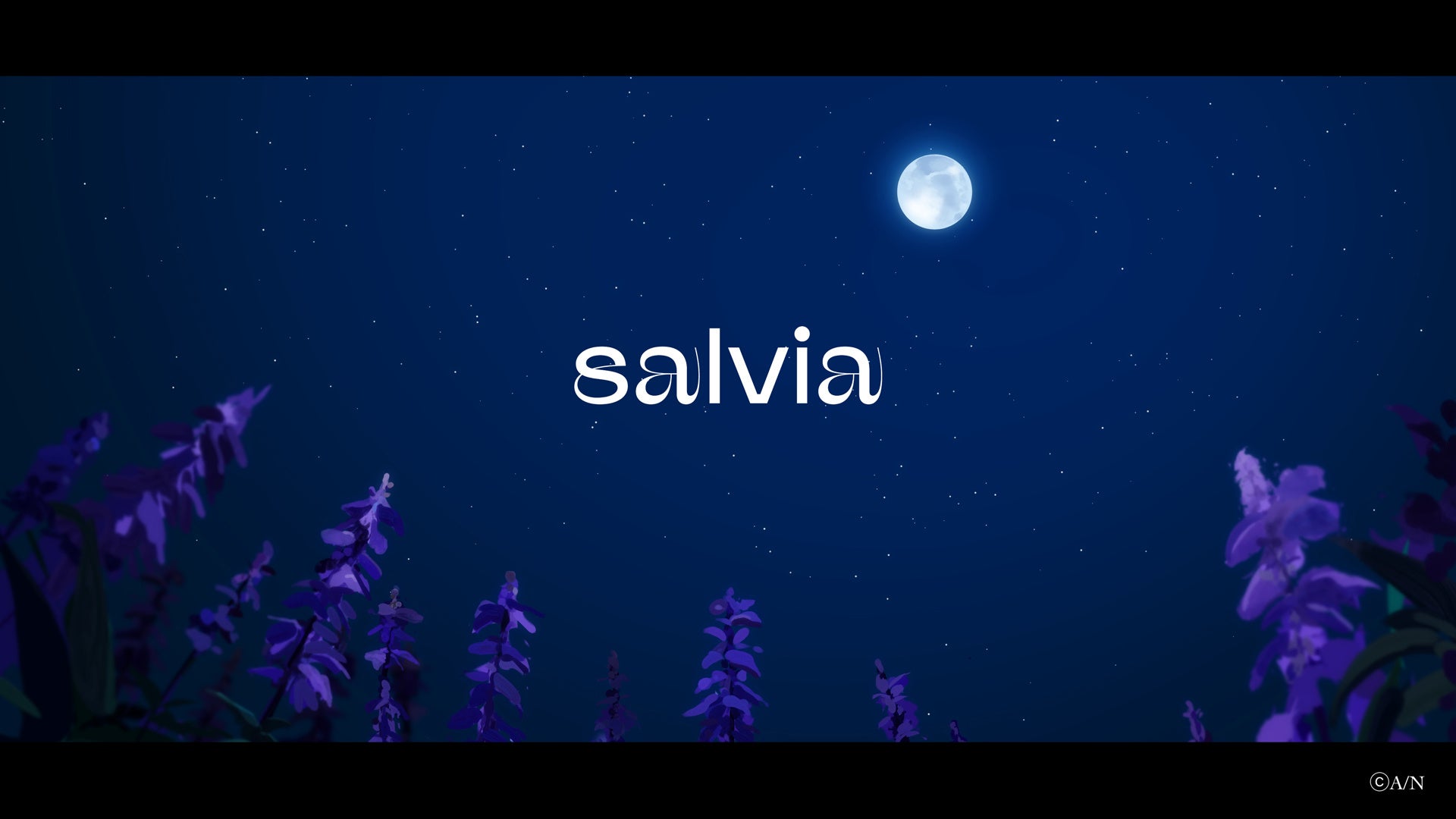 Nornis 2nd Single『salvia』2023年9月27日(水)リリース！あわせてMVも公開！