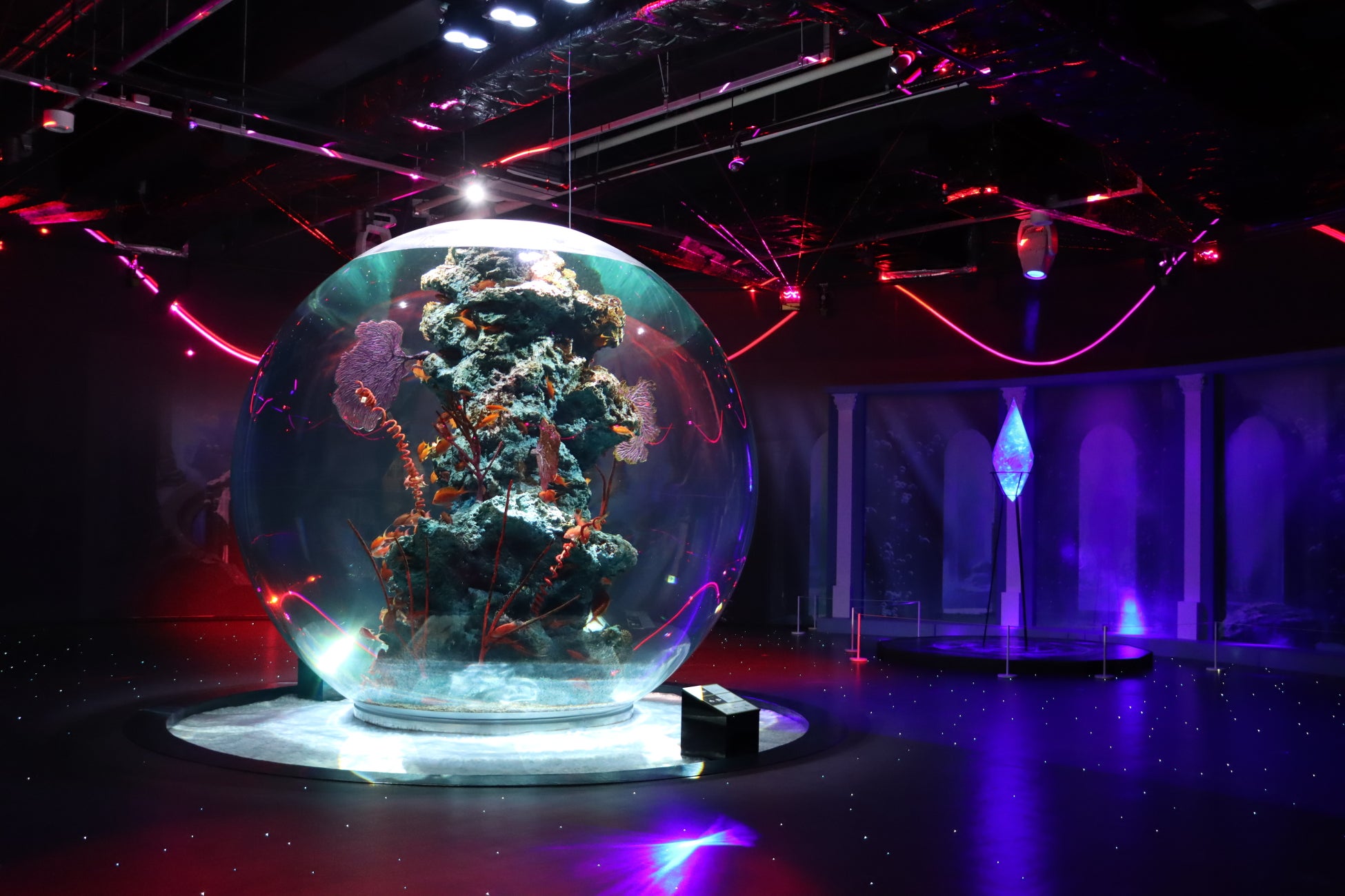 人気スマホゲームFFBE「破滅の幻獣」の世界が神戸の水族館アトアに！『クリスタル・プラネット -海底のファンタジーアクアリウム-』が開催初日を迎えました！