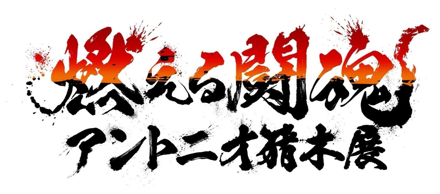 TVアニメ「出来損ないと呼ばれた元英雄は、実家から追放されたので好き勝手に生きることにした」Blu-ray・DVD BOX発売決定!
