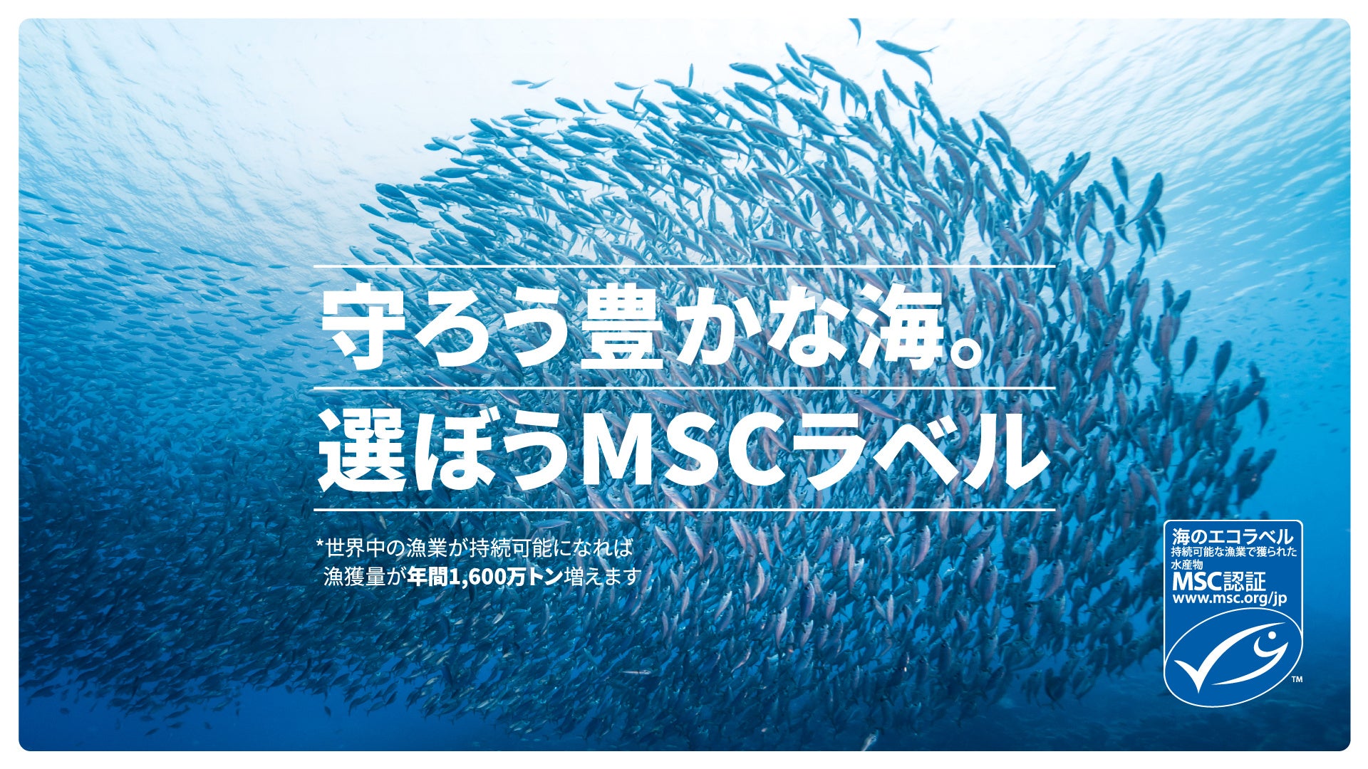 浅草で心躍る一日を体験しよう！【入場無料】