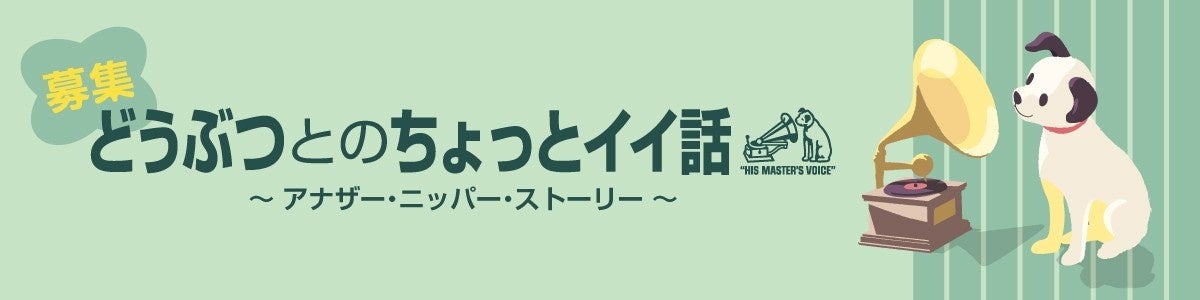 東海地区最大級の日本酒イベント「秋酒祭 2024」今年も愛知・岐阜の2ヶ所で開催！