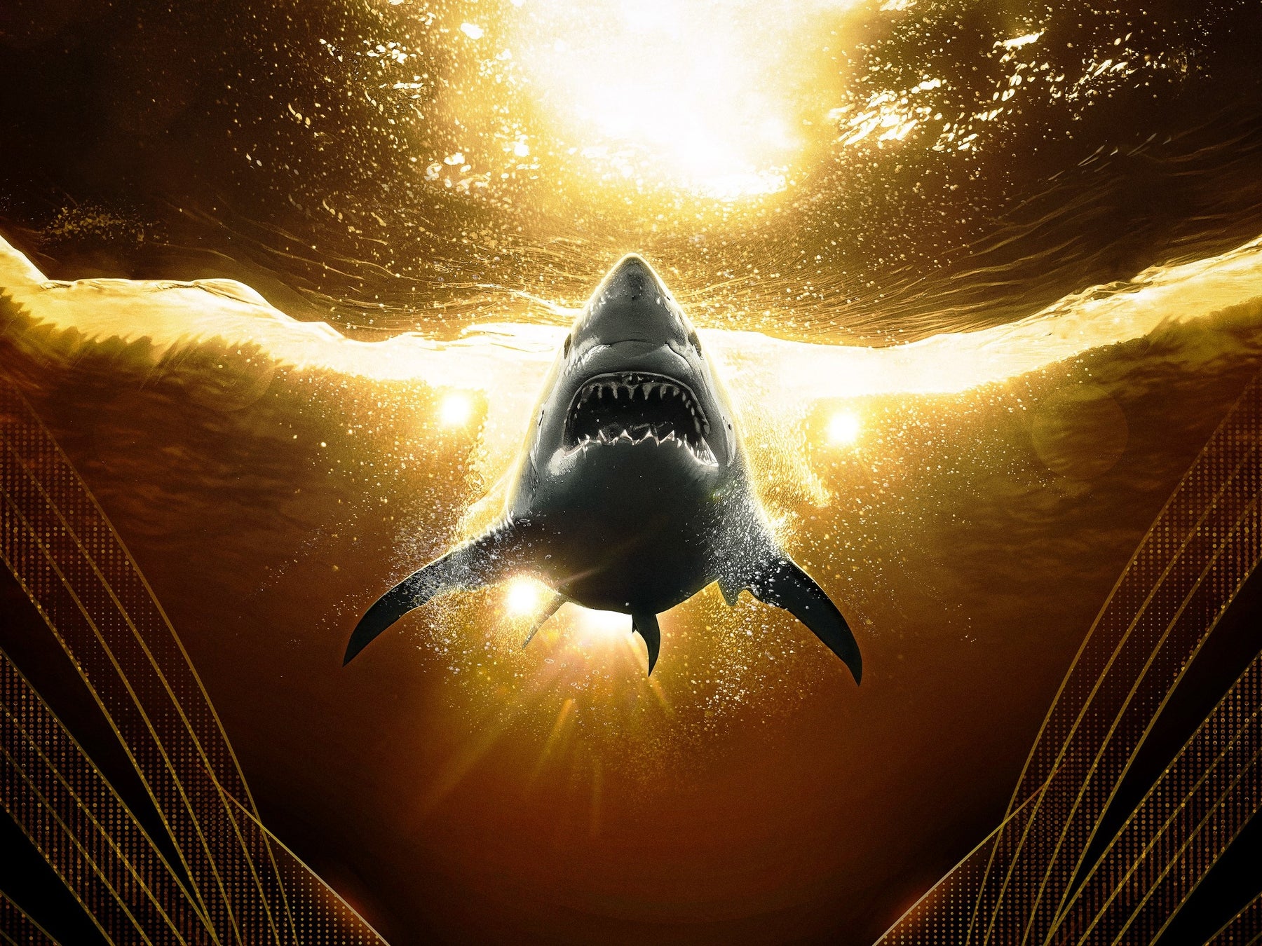 アニマルプラネット×ムービープラス合同企画　サメのふしぎと知られざる生態に迫る【シャークWEEK！サメフェス2024】8月5日（月）より3週連続放送開始！
