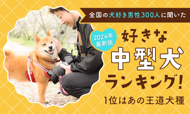 【2024年最新版：全国の犬好き男性300人に聞いた】好きな中型犬ランキング！1位はあの王道犬種