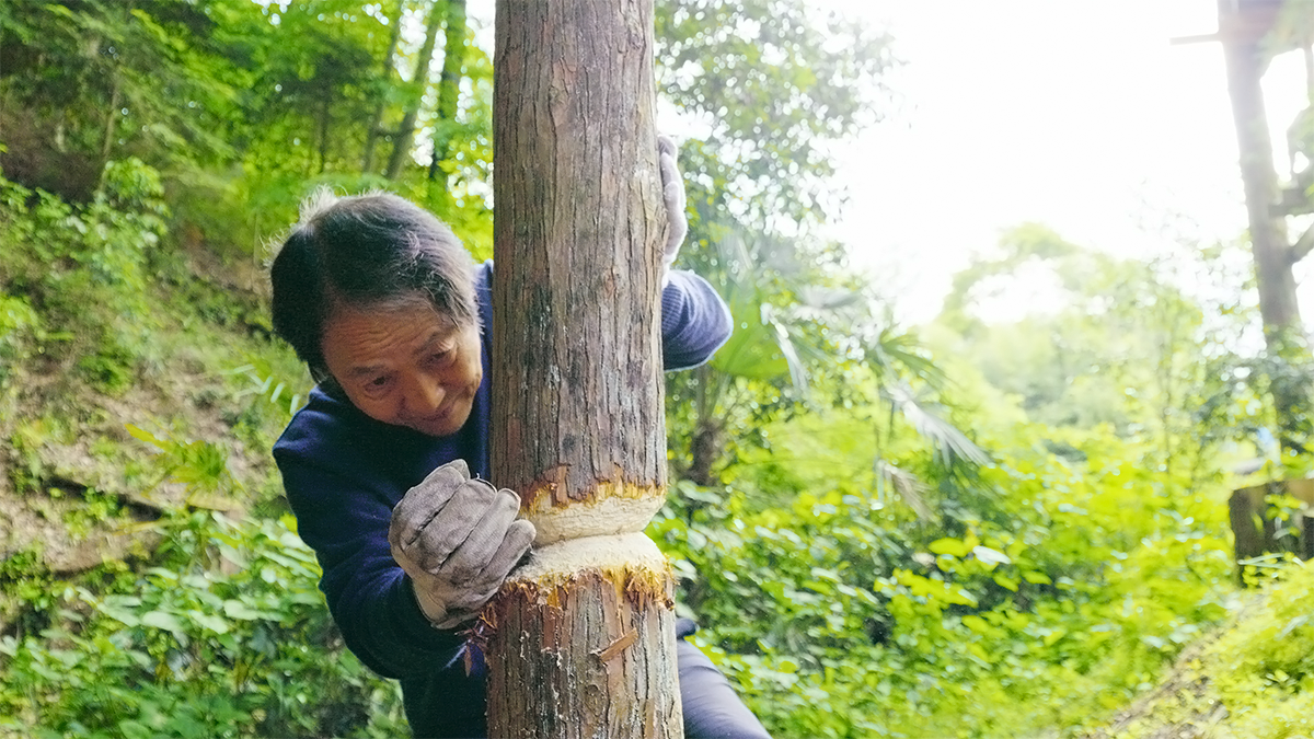 ＜グレートジャーニー＞関野吉晴の集大成の旅
「旧石器時代タイムトラベル計画」映画制作クラファンを開始！