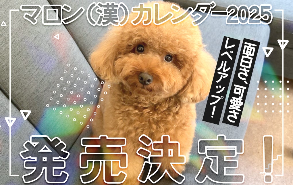 大人気好評の「マロン（漢）カレンダー」が2025年バージョンで発売いたします！
