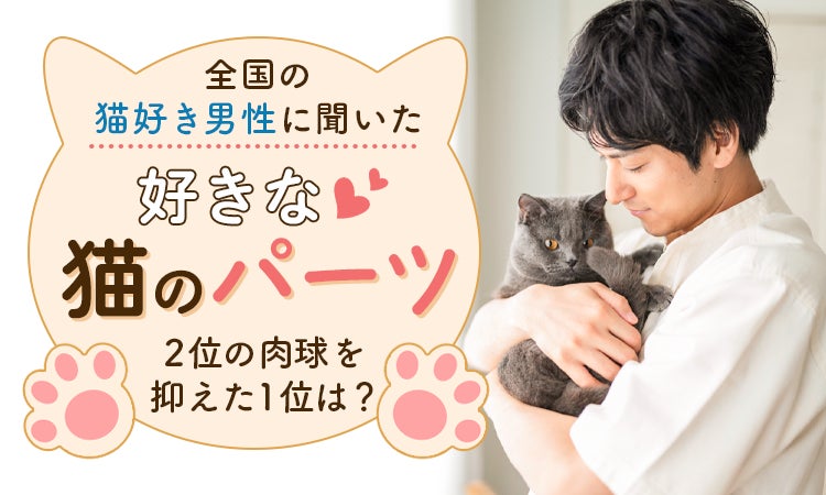 全国の猫好き男性に聞いた「好きな猫のパーツ」2位の肉球を抑えた1位は？