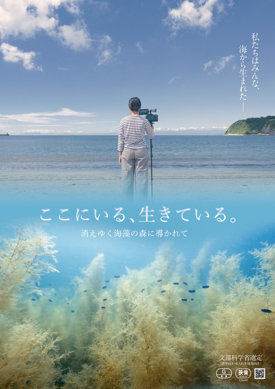 日本初の海藻ドキュメンタリー映画『ここにいる、生きている。〜消えゆく海藻の森に導かれて〜』2025.1.10（金）アップリンク吉祥寺ほか全国ロードショー決定