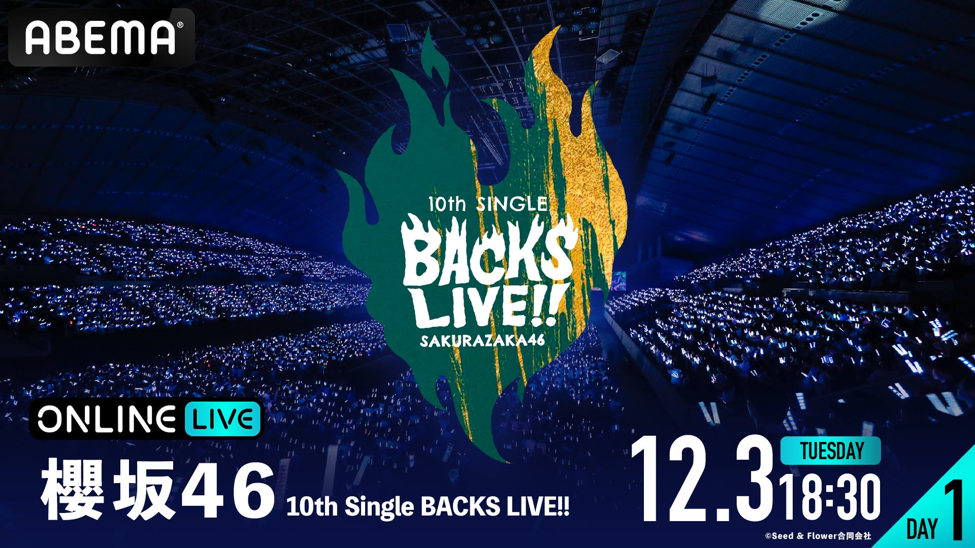 櫻坂46の10thシングルBACKS メンバーによる『10th Single BACKS LIVE!!』を2024年12月3日（火）、4日（水）18時30分より「ABEMA PPV」にて生配信決定