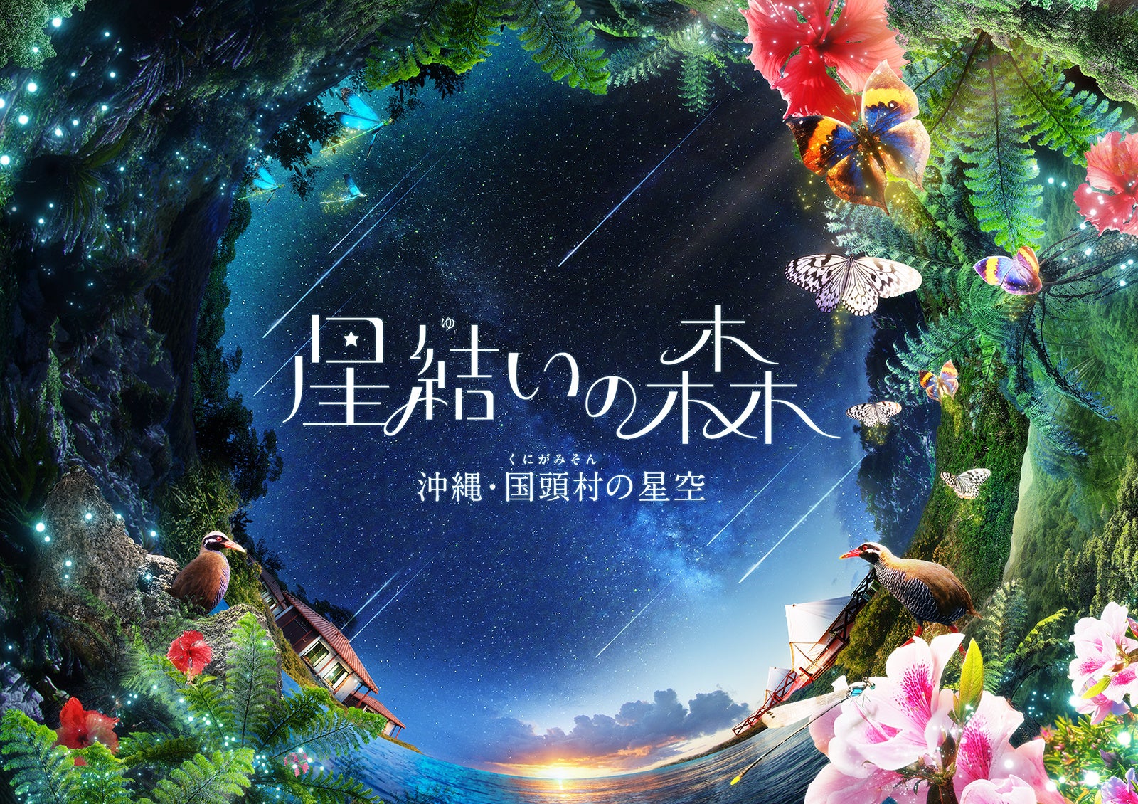 最新作『星結いの森 -沖縄・国頭村の星空-』コニカミノルタプラネタリウム全館で2025年2月28日(金)より上映決定！