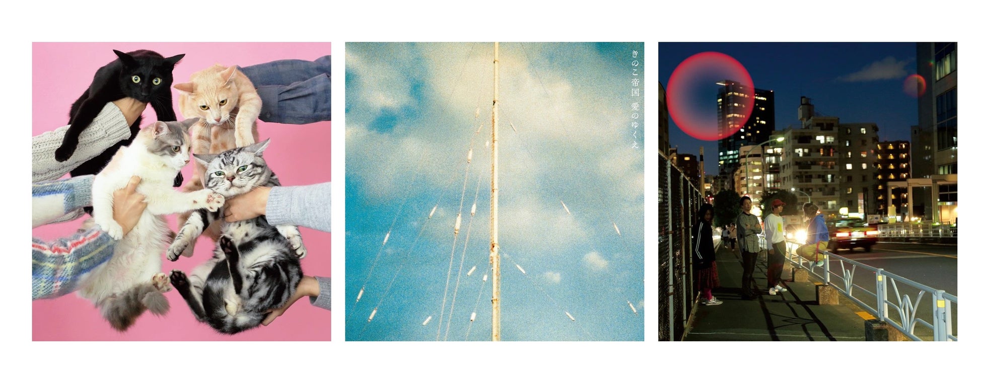 映画『かくしごと』2月28日(金)よりPrime Videoにて見放題独占配信開始!