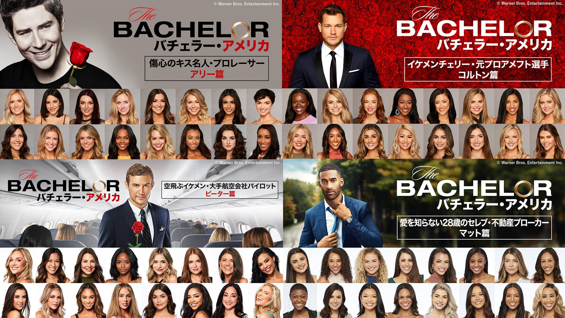 【CV:内田真礼/小林千晃】ボイスコミック動画を新たに公開!呪いでブサ猫にされた天真爛漫な聖女×超猫好き根暗騎士のピュアラブファンタジー!『根暗騎士による溺愛満喫中のブサ猫、実は聖女です!』