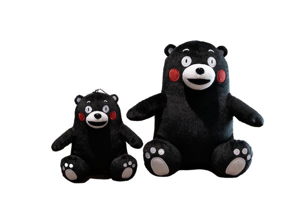 映画『ウィキッド ふたりの魔女』の世界観に浸る、光と花のアート体験型イベント開催決定!